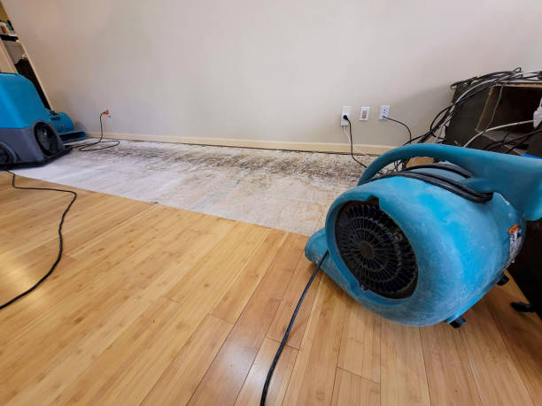 Professional Emergency Water Damage technician working in Vienna, GA